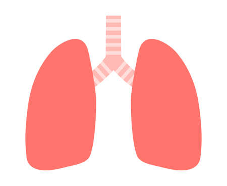 The lungs isolated vector illustration.のイラスト素材