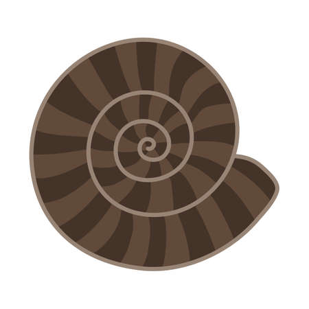 Ammonite Fossil isolated vector illustration.のイラスト素材