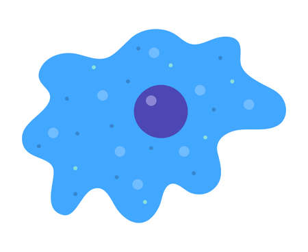An amoeba isolated vector illustration.のイラスト素材