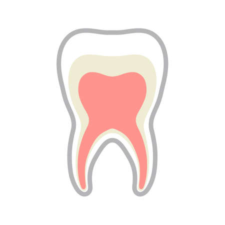 Nerve of a tooth isolated vector illustration.