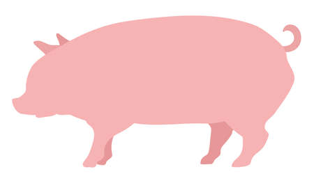 A pig isolated vector illustration.のイラスト素材