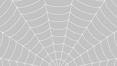 Spider web pattern vector background.のイラスト素材