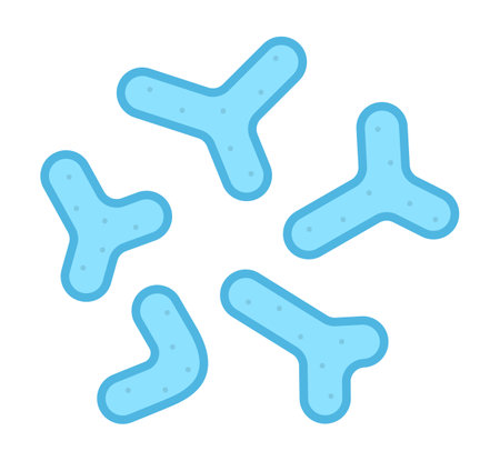 Lactobacillus bifidus isolated vector illustrationのイラスト素材