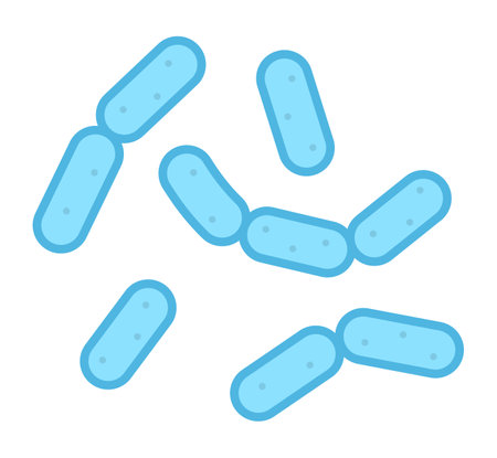 Lactic acid bacteria isolated vector illustrationのイラスト素材