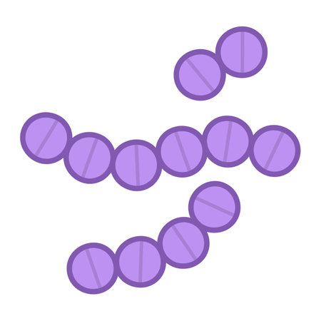 Genus Streptococcus isolated vector illustrationのイラスト素材