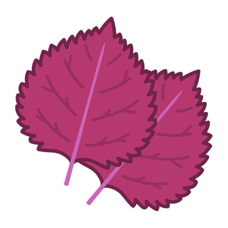 Red shiso leaf isolated vector illustration.のイラスト素材