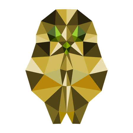 Owl with poly design on white background.のイラスト素材