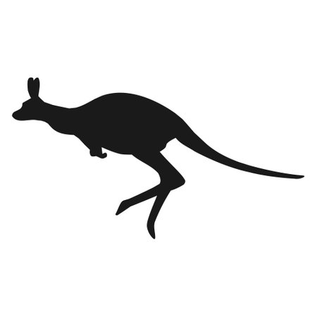 Kangaroo vector illustration with silhouette design on white background.のイラスト素材