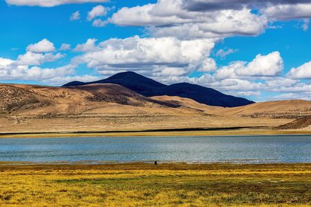 The yak grazes by the namtco lake.の写真素材