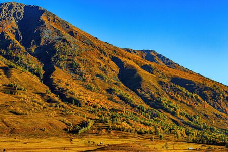 scenery of Hemu, Xinjiang, Chinaの写真素材