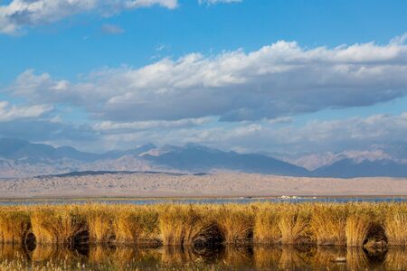 Ejin Banner Juyan Seascapeの写真素材