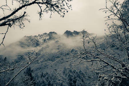 In Bipengou, Abali County, Sichuan, during the National Day, the mountain was covered by clouds and...