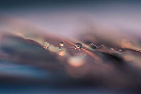 Drops of water on soft backgroundの写真素材
