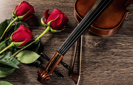 Violin, rose and music books, still lifeの写真素材