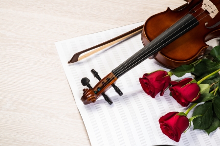 Violin, rose and music books, still lifeの写真素材