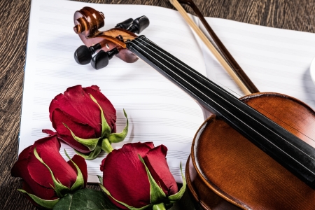 Violin, rose and music books, still lifeの写真素材