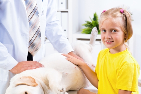 girl holds a dog in a veterinary clinic, veterinarian inspects a dogの写真素材