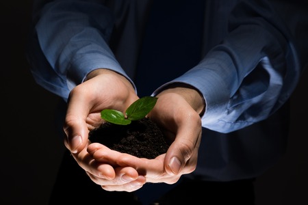 Close up of businessman hands holding small green sproutの写真素材