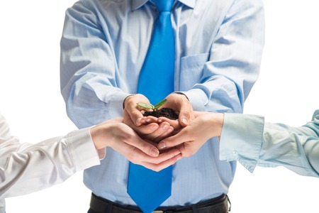 Unity of businesspeople protecting small sprout with handsの写真素材