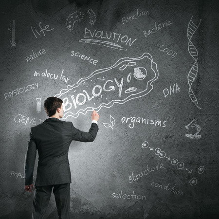 Rear view of man drawing education concept on blackboard with chalkの写真素材