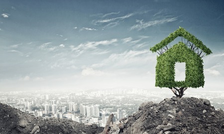 House shaped green tree as real estate conceptの写真素材