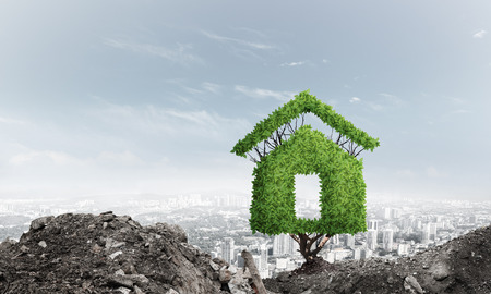House shaped green tree as real estate conceptの写真素材