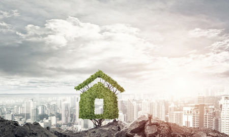 House shaped green tree as real estate conceptの写真素材