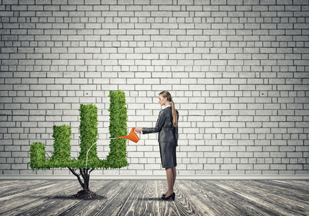 Young attractive businesswoman watering plant in ground with canの写真素材