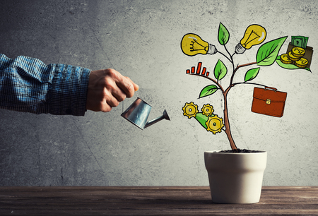 Hand of man watering concept of business plan and strategyの写真素材