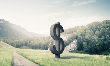 Stone dollar symbol on natural landscape as currency signの写真素材