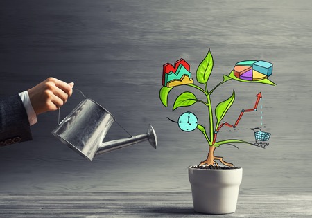 Hand of businesswoman watering concept of business plan and strategyの写真素材