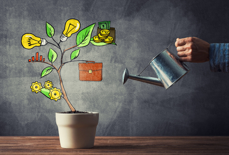 Hand of man watering concept of business plan and strategyの写真素材