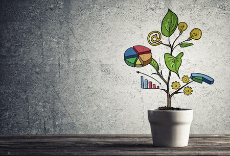 Concept of successful business plan and strategy presented by growing treeの写真素材