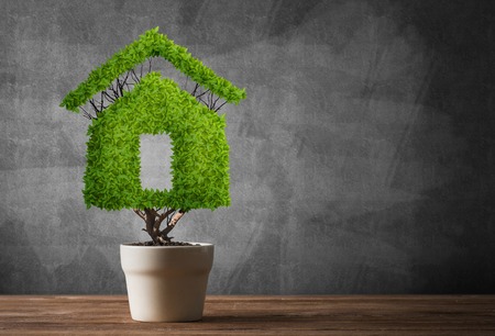 Green plant in pot shaped like houseの写真素材