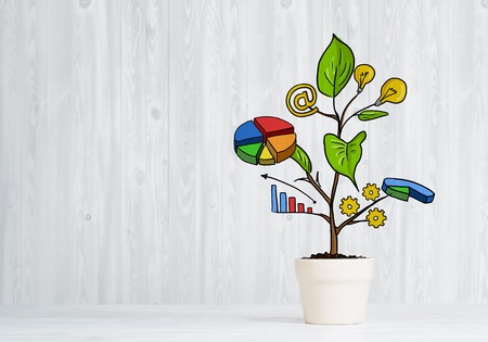 Concept of successful business plan and strategy presented by growing treeの写真素材