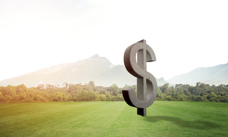 Stone dollar symbol on natural landscape as currency signの写真素材