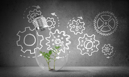 Lightbulb with green plant inside placed against sketched gear mechanism on grey wall on background. 3D rendering.の写真素材