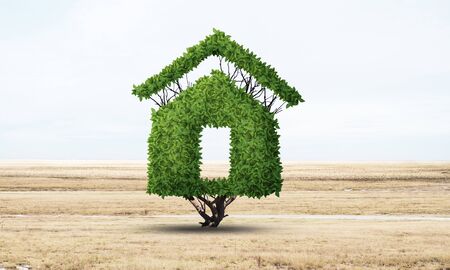 Green plant in shape of house grows at field. Eco friendly house concept. Nature landscape with dry grass and blue sky. Green building technology and architecture design. Investment in real estate.の写真素材