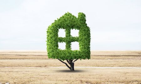 Green plant in shape of house grows at field. Eco friendly house concept. Nature landscape with dry grass and blue sky. Green building technology and architecture design. Investment in real estate.の写真素材