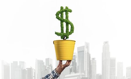 Green plant in shape of dollar sign grows in yellow pot. Human hand holding pot with green plant. Friendly ecosystem for business and investment concept. Banking and foreign exchange market.の写真素材