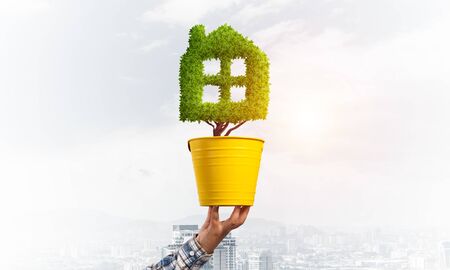 Green plant in shape of house grows in yellow pot. Human hand holding pot with plant on cityscape background. Eco friendly building technology and architecture design. Investment in real estateの写真素材