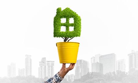 Green plant in shape of house grows in yellow pot. Human hand holding pot with plant on cityscape background. Eco friendly building technology and architecture design. Investment in real estateの写真素材