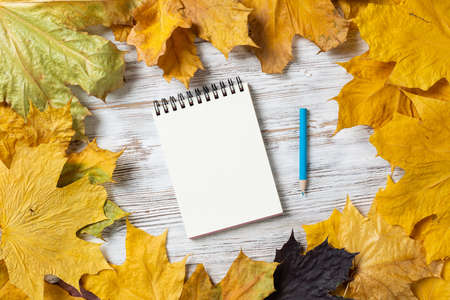 Spiral notepad and pen lies on vintage wooden desk with bright foliage. Flat lay composition with autumn leaves on white wooden surface. Day planning and relaxation. Blank notepaper with copy spaceの写真素材