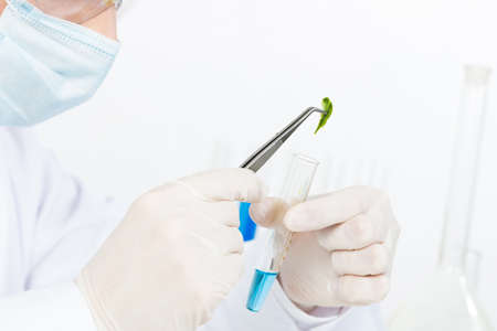 Scientist puts sample into test tube. Biochemistry laboratory analysis and experimentation. Closeup human hands in latex gloves holding test tube and tweezers. Biology researching and lab testing.の写真素材