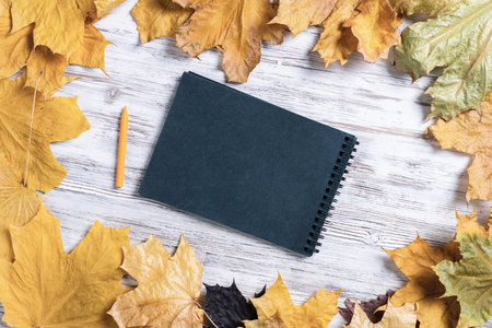 Spiral black notepad and pen lies on vintage wooden desk with bright autumn foliage. Business and education. Flat lay with autumn leaves on white wooden surface. Blank notepaper with copy space.の写真素材