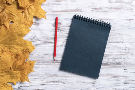 Spiral black notepad and pen lies on vintage wooden desk with bright autumn foliage. Business and education. Flat lay with autumn leaves on white wooden surface. Blank notepaper with copy space.の写真素材