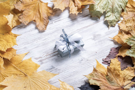 Bright autumn composition with gift box and yellow maple leaves. Holiday present decorated white ribbon bow lies on vintage wooden desk. Happy thanksgiving congratulation. Autumn sale advertising.の写真素材