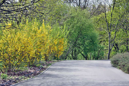 Way green の写真素材