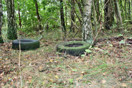 Tires thrown in the woodsの写真素材