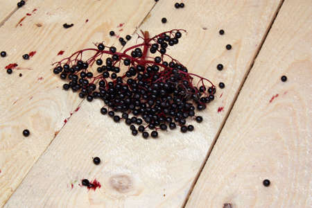 Bunch of fresh elderberries on a wooden tableの写真素材